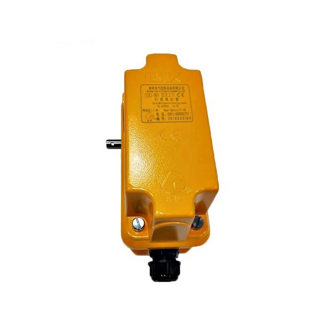 DXZ Limit Switch